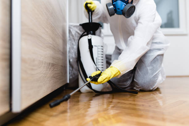 Best Residential Pest Control  in Flagstaff, AZ