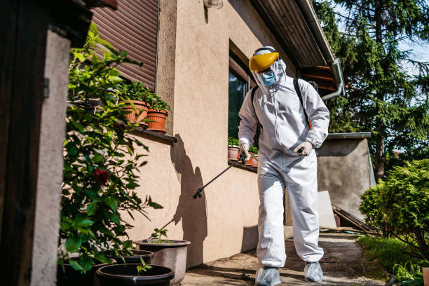 Wasp Removal Services in Flagstaff, AZ