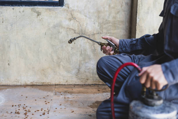 Best Pest Removal Services  in Flagstaff, AZ